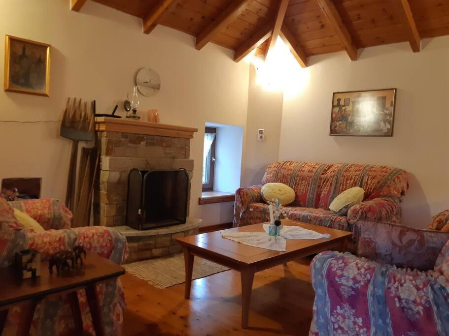 Kouros Villa! Paltsi Pilion Exteriér fotografie