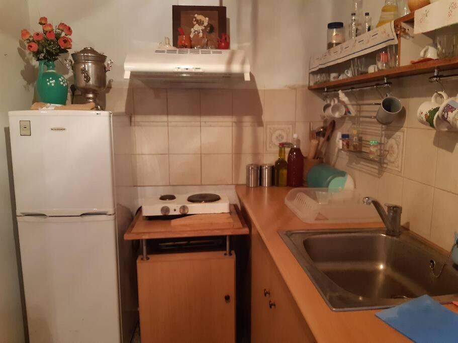 Kouros Villa! Paltsi Pilion Exteriér fotografie