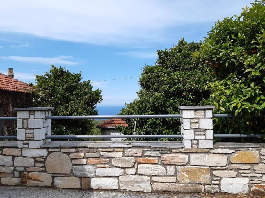 Kouros Villa! Paltsi Pilion Exteriér fotografie