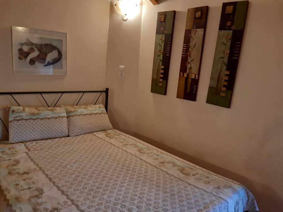 Kouros Villa! Paltsi Pilion Exteriér fotografie