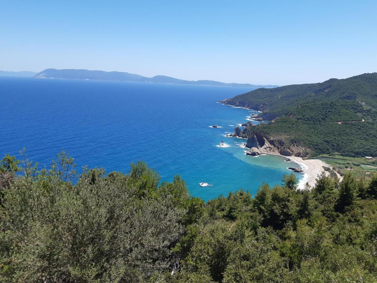 Kouros Villa! Paltsi Pilion Exteriér fotografie