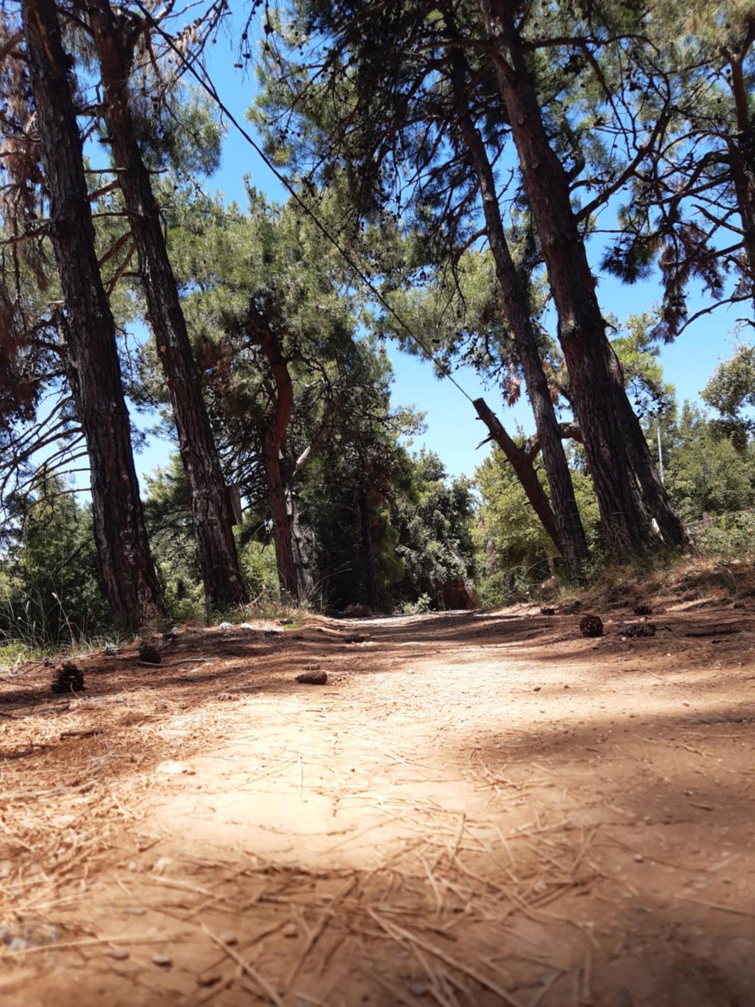 Kouros Villa! Paltsi Pilion Exteriér fotografie