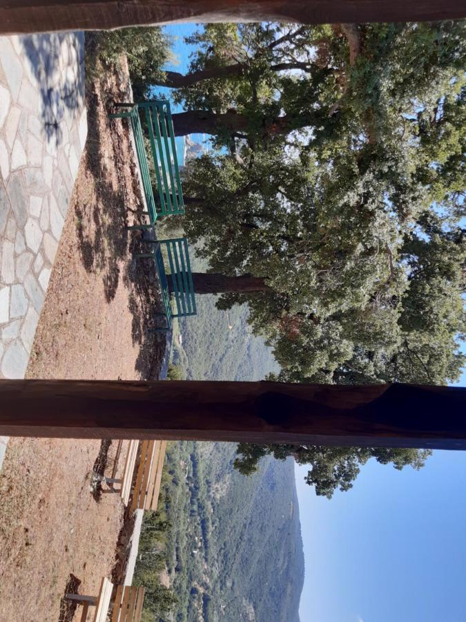 Kouros Villa! Paltsi Pilion Exteriér fotografie
