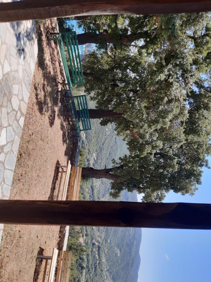 Kouros Villa! Paltsi Pilion Exteriér fotografie