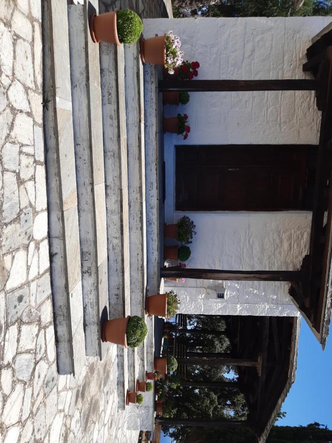 Kouros Villa! Paltsi Pilion Exteriér fotografie