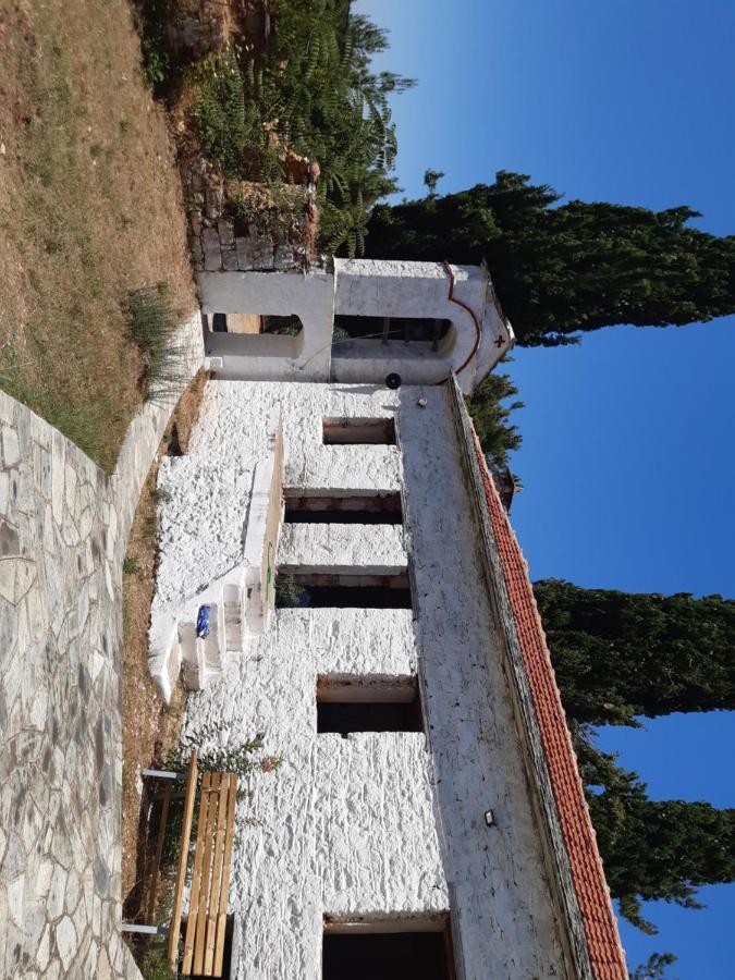 Kouros Villa! Paltsi Pilion Exteriér fotografie